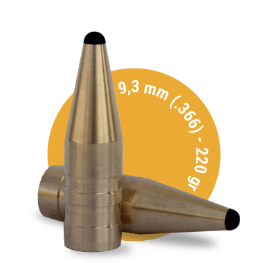 9.3 mm 220 gr