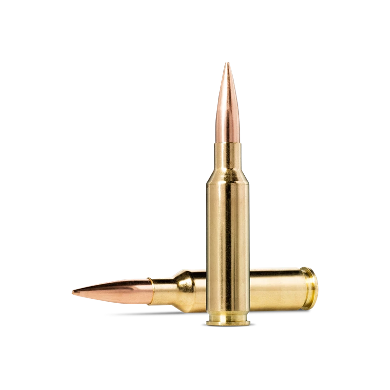 NORMA cal. 6.5 Creedmoore Target Match 8.4g130gr. (2)